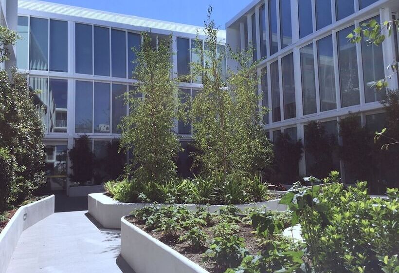 Brand New Stunning Home With Garden