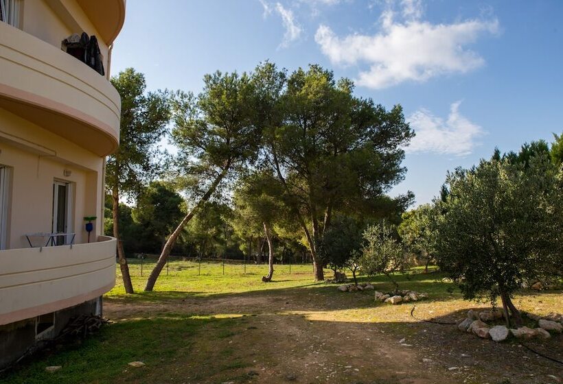 Nikis Dream Comfy Apartments