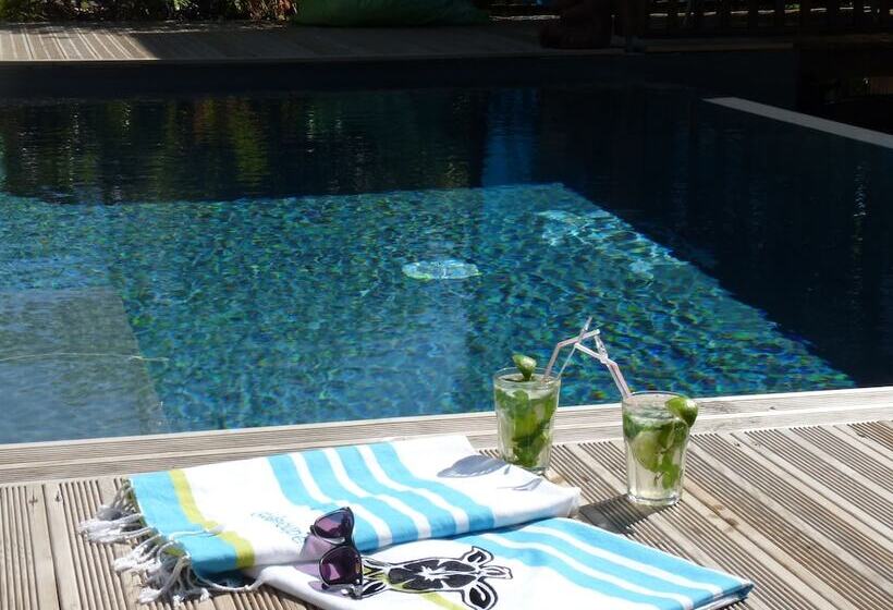 Gite La Tortue Bleue