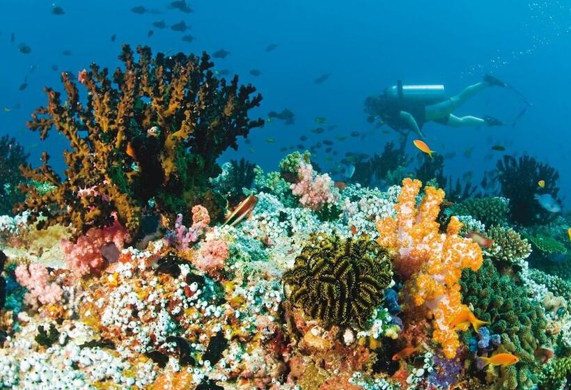 Gite La Tortue Bleue