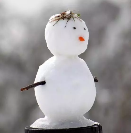 Chalet Apartments   Mt Buller Apartment Rentals