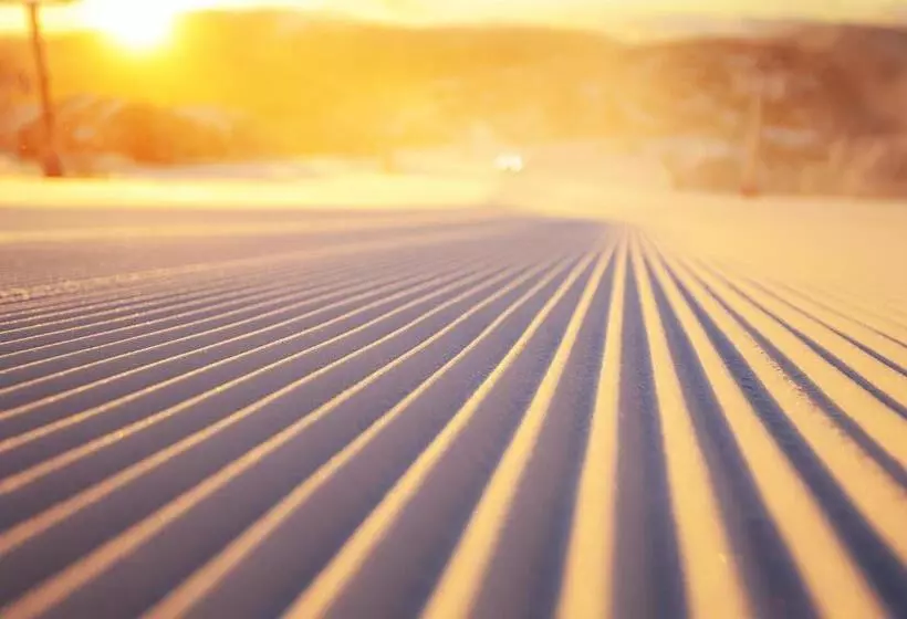 Chalet Apartments   Mt Buller Apartment Rentals