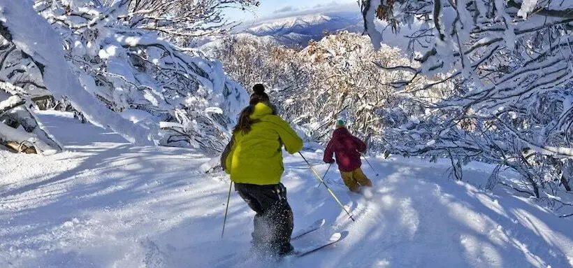 Chalet Apartments   Mt Buller Apartment Rentals