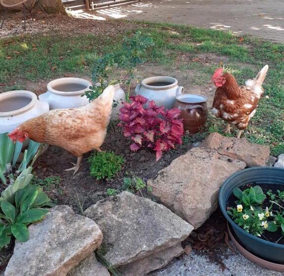 펜션 Les Trois Charmes