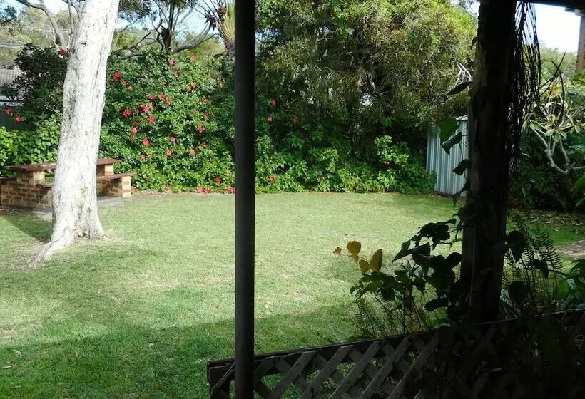 Tea Tree Hat Head   6 Hutcheson Street  No Sheets Or Towels Provided