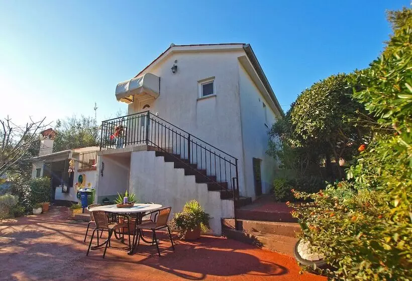 Apartments Selma 1227