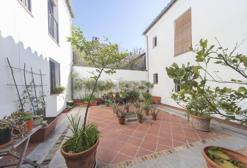 Loft Dalahorra Albayzin