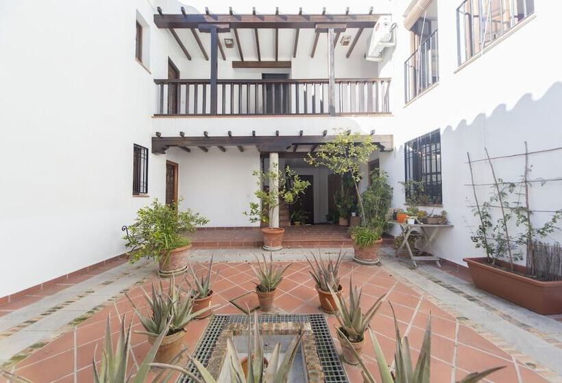 Loft Dalahorra Albayzin