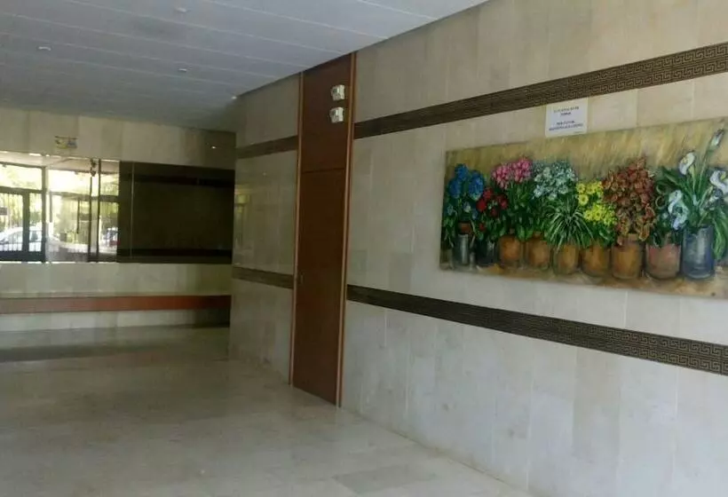 Estudio Ally