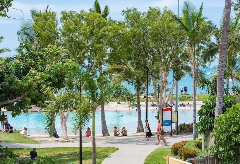 Montipora On The Waterfront