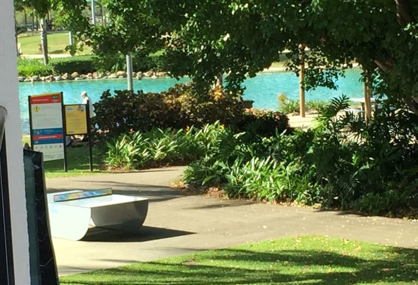 Montipora On The Waterfront