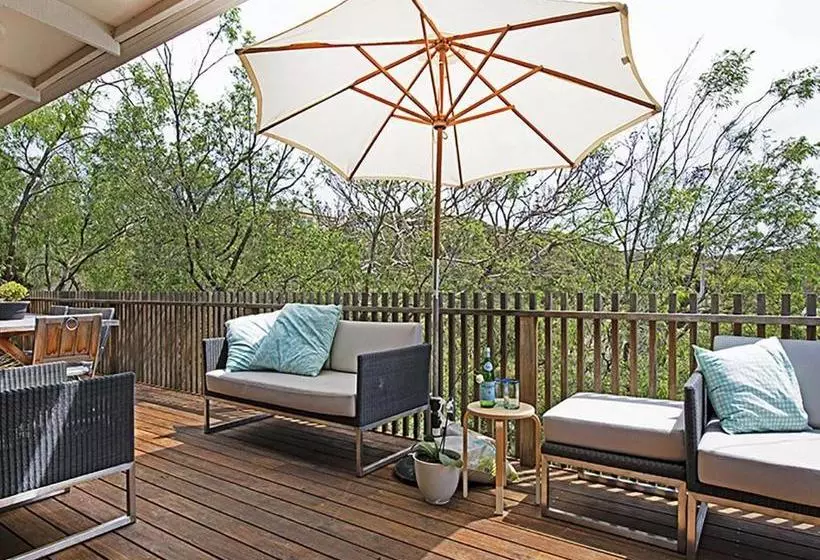 Treetops