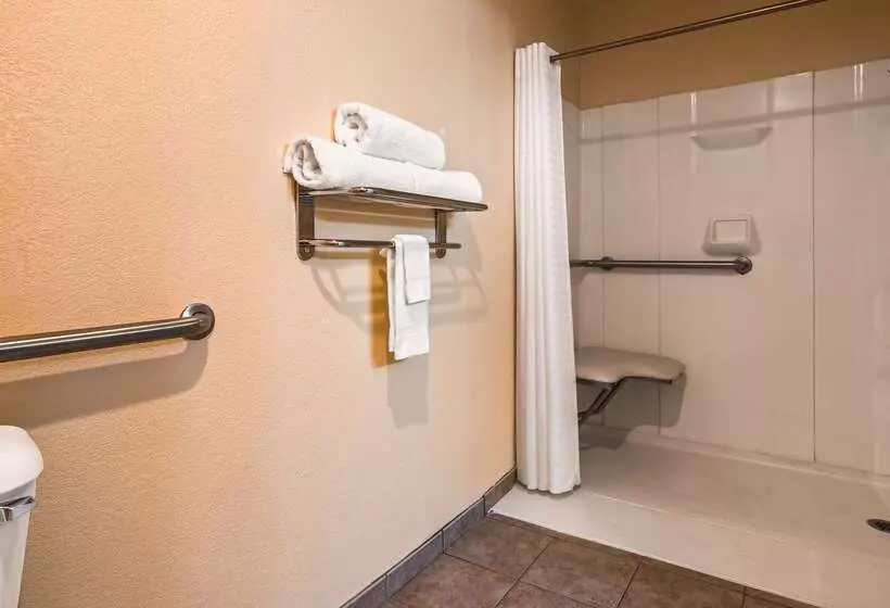 ホテル Best Western Oglesby Inn