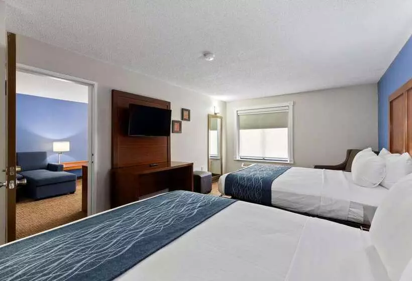 هتل Comfort Inn & Suites St. Louishazelwood