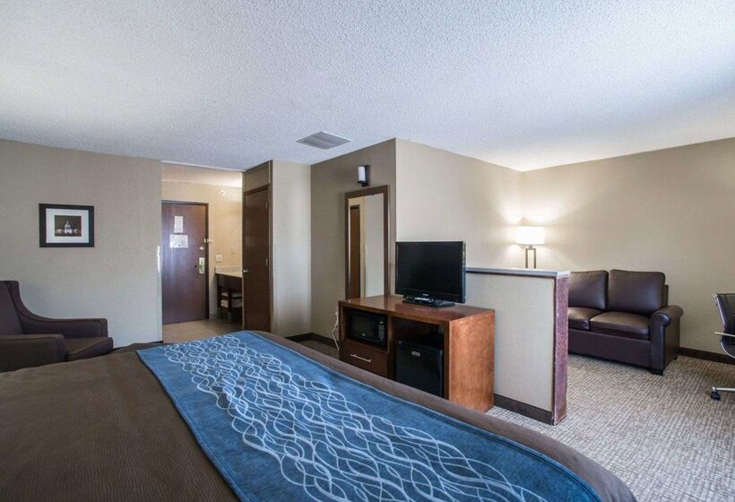 ホテル Comfort Inn & Suites St. Louishazelwood