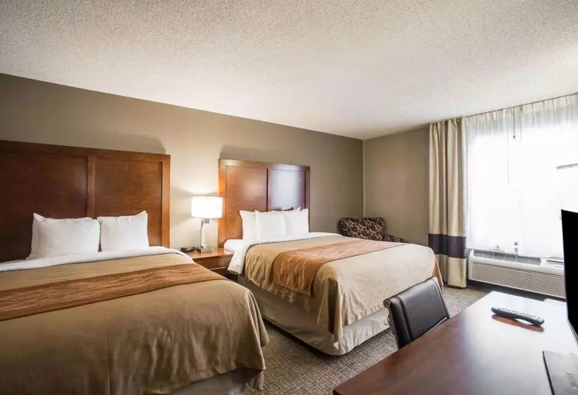 هتل Comfort Inn & Suites St. Louishazelwood