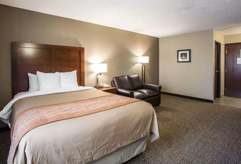 هتل Comfort Inn & Suites St. Louishazelwood