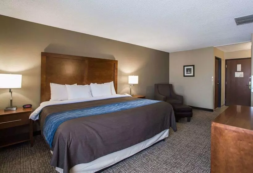 هتل Comfort Inn & Suites St. Louishazelwood
