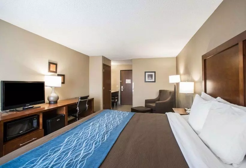 هتل Comfort Inn & Suites St. Louishazelwood