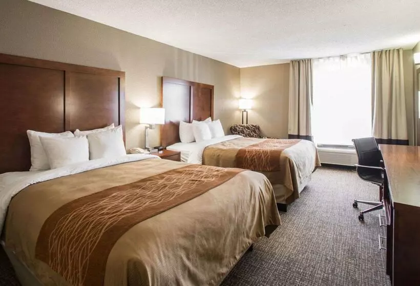 هتل Comfort Inn & Suites St. Louishazelwood