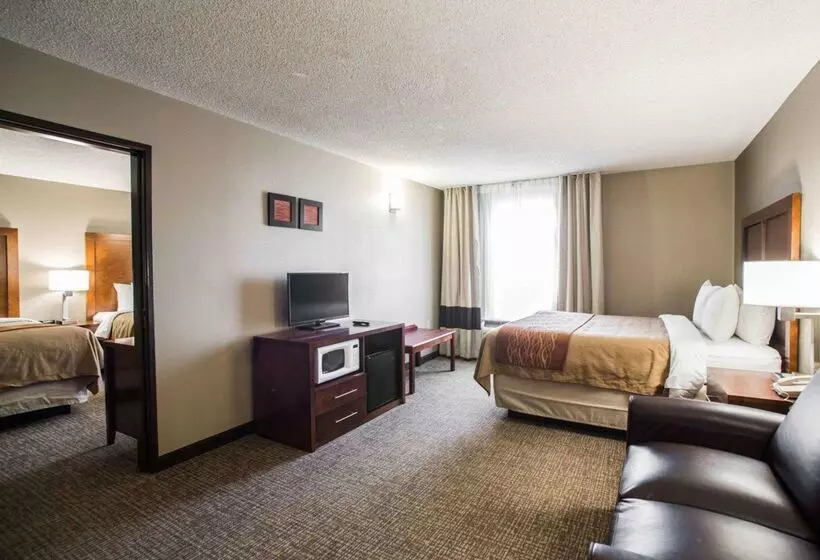 هتل Comfort Inn & Suites St. Louishazelwood