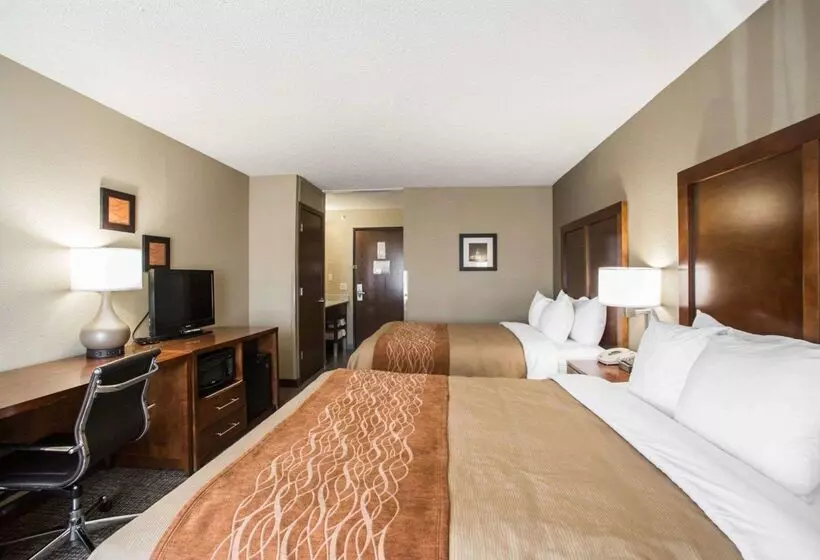 هتل Comfort Inn & Suites St. Louishazelwood