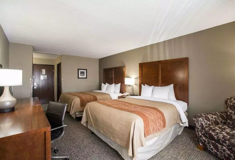 هتل Comfort Inn & Suites St. Louishazelwood