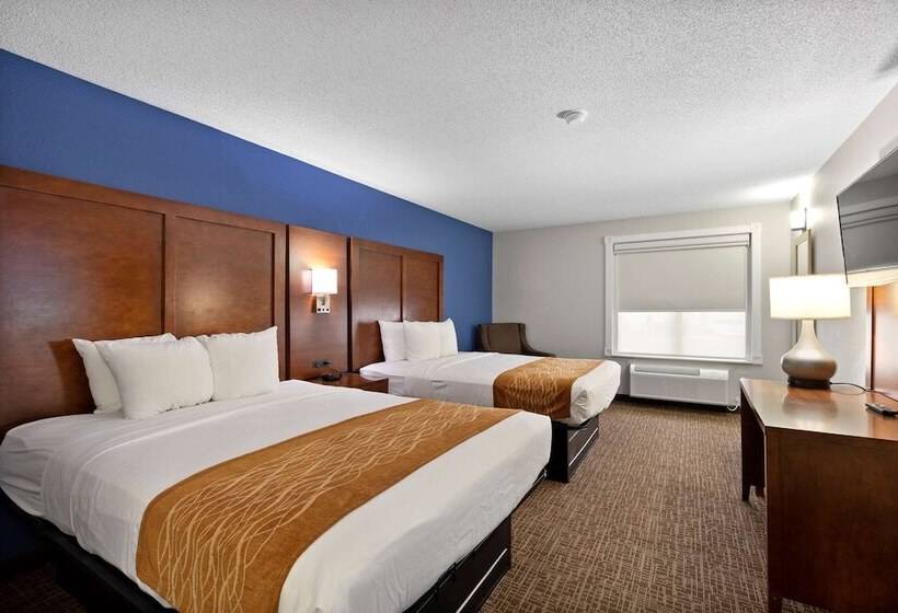 ホテル Comfort Inn & Suites St. Louishazelwood