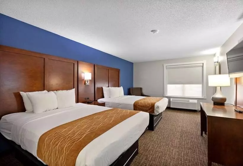 هتل Comfort Inn & Suites St. Louishazelwood
