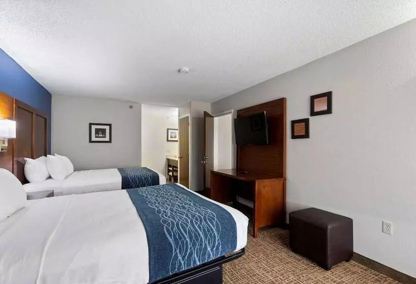 هتل Comfort Inn & Suites St. Louishazelwood