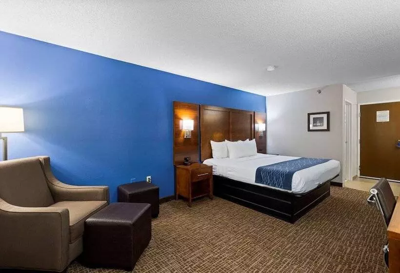 هتل Comfort Inn & Suites St. Louishazelwood