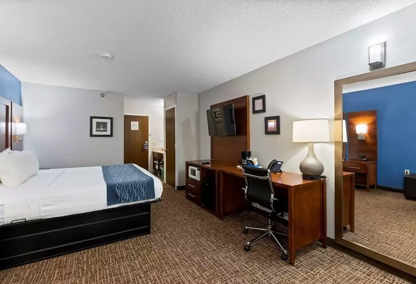 هتل Comfort Inn & Suites St. Louishazelwood