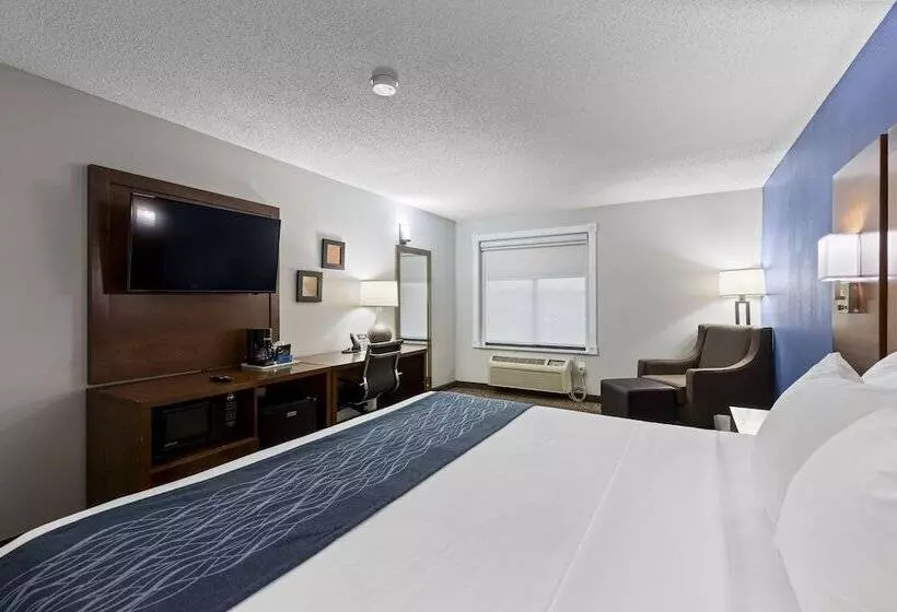 هتل Comfort Inn & Suites St. Louishazelwood