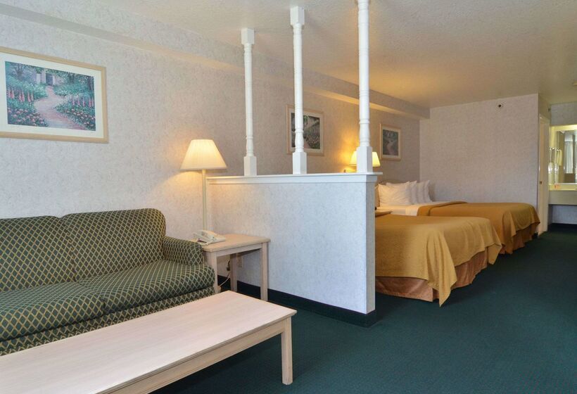 فندق Econo Lodge Downtown South