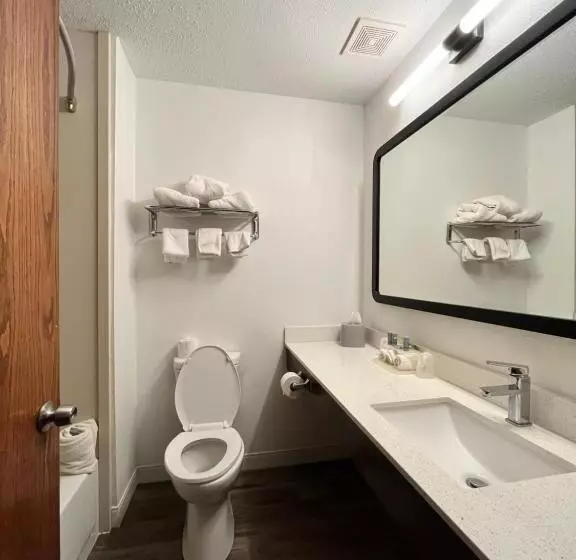 בית מלון כפרי Surestay Plus By Best Western Fremont I 69