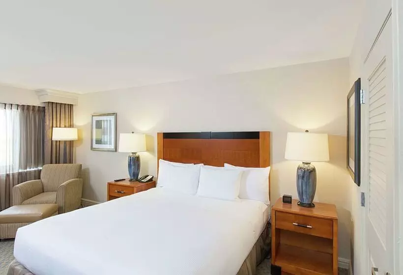 ホテル Hilton New York Jfk Airport