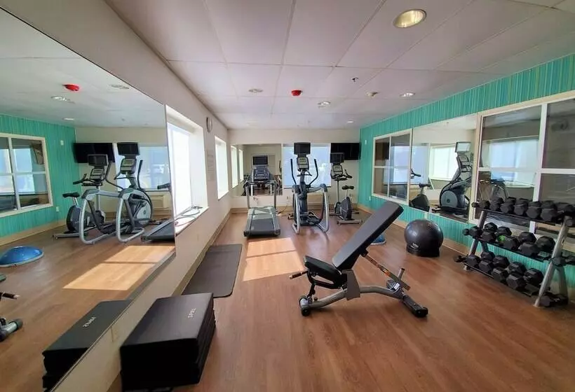 Holiday Inn Express Hotel & Suites Seattle North Lynnwood, An Ihg