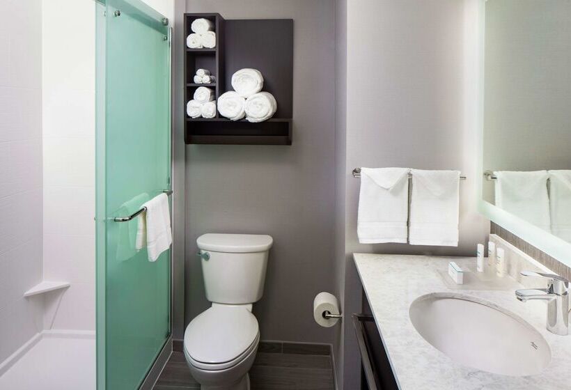 هتل Homewood Suites By Hilton Atlanta Lenox Mall Buckhead