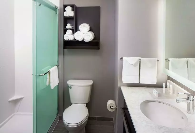 בית מלון כפרי Homewood Suites By Hilton Atlanta Lenox Mall Buckhead