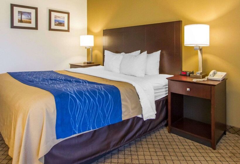 Hotel Quality Inn Clarksville Exit 11