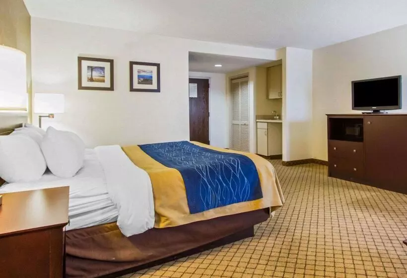 ホテル Quality Inn Clarksville Exit 11