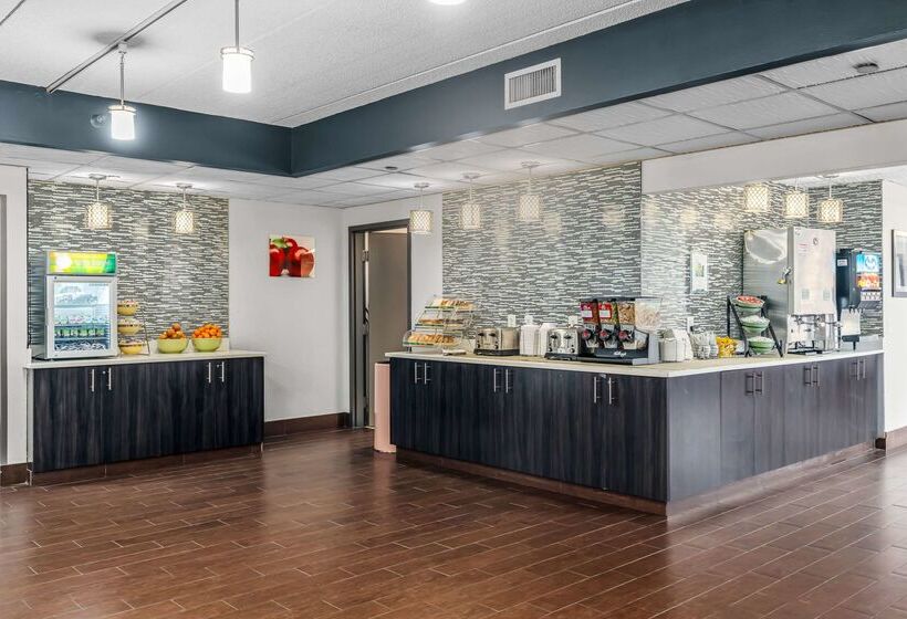 Hotel Quality Inn & Suites Mall Of America  Msp Airport