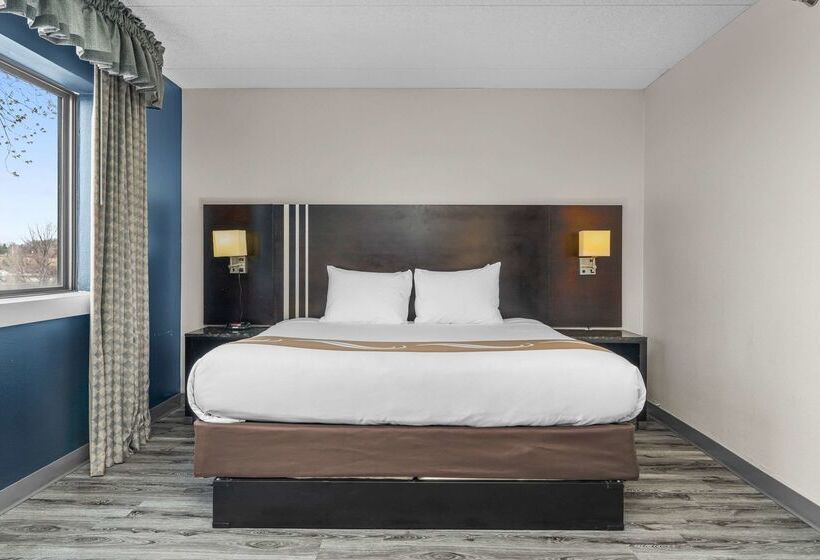 Hotel Quality Inn & Suites Mall Of America  Msp Airport