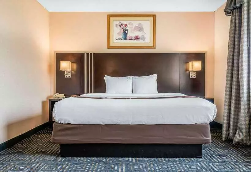 Отель Quality Inn & Suites Mall Of America  Msp Airport