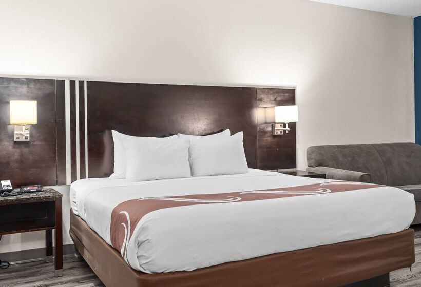 Hotel Quality Inn & Suites Mall Of America  Msp Airport