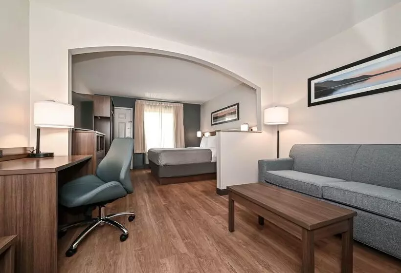 ホテル Quality Inn & Suites Matthews   Charlotte