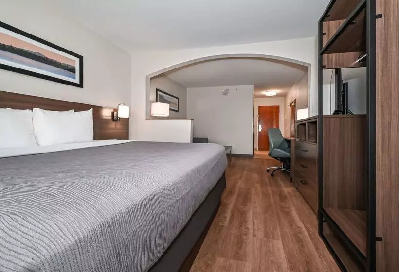 ホテル Quality Inn & Suites Matthews   Charlotte