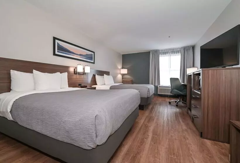 ホテル Quality Inn & Suites Matthews   Charlotte