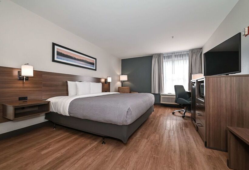 ホテル Quality Inn & Suites Matthews   Charlotte