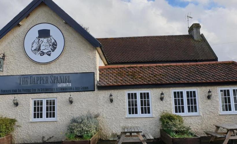 צימר The Dapper Spaniel